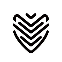 VYSP.AI logo - Similar company to Velocity Investments Group Llc