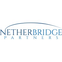 NetherBridge Partners logo - Similar company to Mgc It Solutions