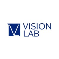 Vision Lab logo - Similar company to Digityze Asia