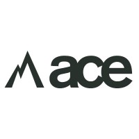 ACE alpine & climbing equipment AG logo - Similar company to Espressoworld Ag