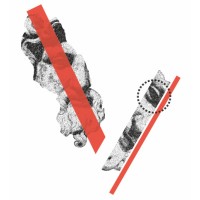 Videmus Dergi logo - Similar company to Volta Dergi