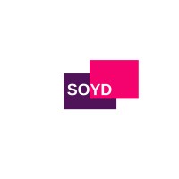 SOYD, LLC logo - Similar company to Core-Tr | Consultancy | Recruitment | Training