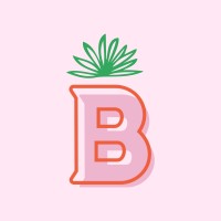 Baresco logo - Similar company to Baresco