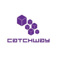 Catchway logo - Similar company to Catchway Technologies