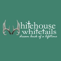 Whitehouse Whitetails | Trophy Whitetail Hunts
