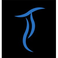 Transcento Decor logo - Similar company to Coevolve Partners