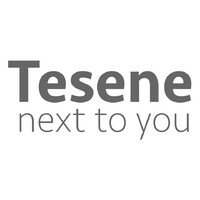 Tesene Srl