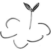Cloud Microgreens logo - Similar company to Microgreens Fln