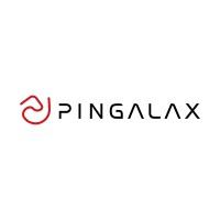 PINGALAX logo - Similar company to Chengdu Khons Tehcnnology Co., Ltd