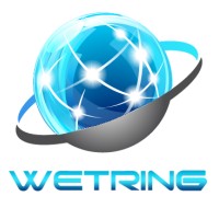 Wetring InfoTech Pvt. Ltd. logo - Similar company to Valery Soft Tech Private Ltd
