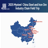 Mysteel Steel & Iron Ore Trip logo - Similar company to Les Menuiseries Vannetaises