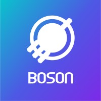 Boson Information Consultancy logo - Similar company to Jim'S Conveyancing