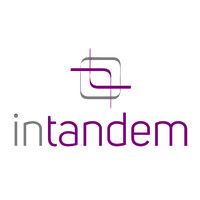 INTANDEM CONSULTING logo - Similar company to Luxalad