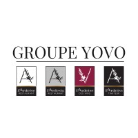 Groupe YOVO logo - Similar company to Le Choupinet
