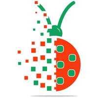 Individual Entrepreneur Lela Gabelaia logo - Similar company to Qa Matters