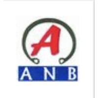 ANB Auto India Private Limited logo - Similar company to Skill Rollers Private Limited