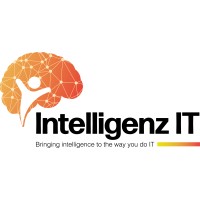 Intelligenz IT logo - Similar company to Boolean Beast