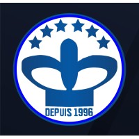 Softem Formation logo - Similar company to Prism Brain Mapping Fr