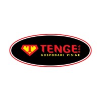 Tenge logo - Similar company to Combo It Solutions