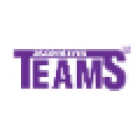 ASCENSORES TEAMS