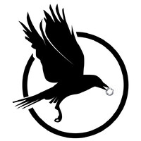 Black Raven Ltd. logo - Similar company to Maize Bazar B2B Marketplace