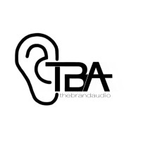 thebrandaudio logo - Similar company to Allometrik
