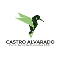 Castro Alvarado Consultores logo - Similar company to Integral Cloud Solutions Opencloud