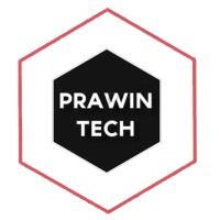 Prawin Tech logo - Similar company to Nke Group