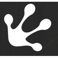 Leapfrog Funds logo - Similar company to Arcules By Milestone Systems