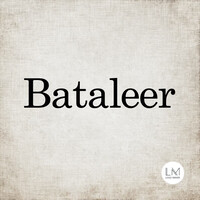 Bataleer Group logo - Similar company to The Oak Group