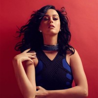 Katycat'S Brasil