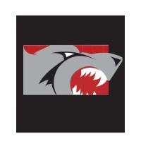 IronWolf Manufacturing LLC logo - Similar company to Ndaok