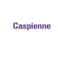 Caspienne logo - Similar company to Alvand Metal Chemistry Co.