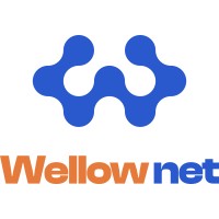 Wellownet logo - Similar company to Modern Business Solutions