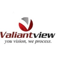 Valiantview Pvt Ltd logo - Similar company to Eplitos Technologies Private Limited