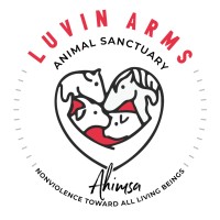 Luvin Arms Animal Sanctuary logo - Similar company to Open Sanctuary