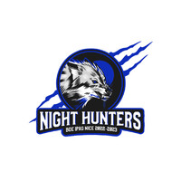 Bde: Night Hunters