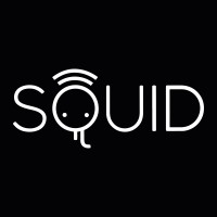 SQUID logo - Similar company to Squid