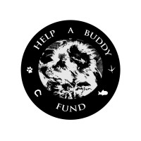 Help a Buddy Fund logo - Similar company to The Rad Foundation