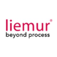 Liemur Limited logo - Similar company to Microej