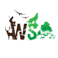 Wilderskills Outdoor Adventures