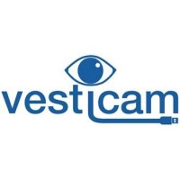 Vesticam logo - Similar company to Dizzy Ears - Vestibular Rehabilitation Therapy