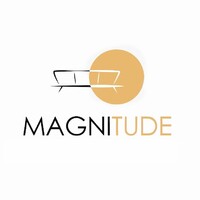 Magnitude logo - Similar company to Wali'S Tech