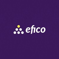 Efico logo - Similar company to Hill Solutions Ng (Ladies Code)