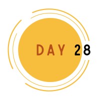 Day 28 501(c)3 logo - Similar company to International Youth Developers Association