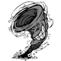 Storm Factor Inc logo - Similar company to Textspot