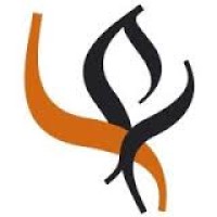 Suomen Psykologinen Instituutti logo - Similar company to Otaxi