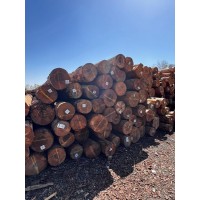Costaa Woods logo - Similar company to Costaa Woods