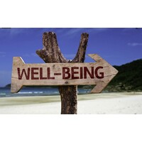 LiveWell Health and Wellness logo - Similar company to Oppimi Group
