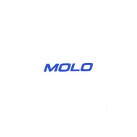 MOLO logo - Similar company to Caminpulse